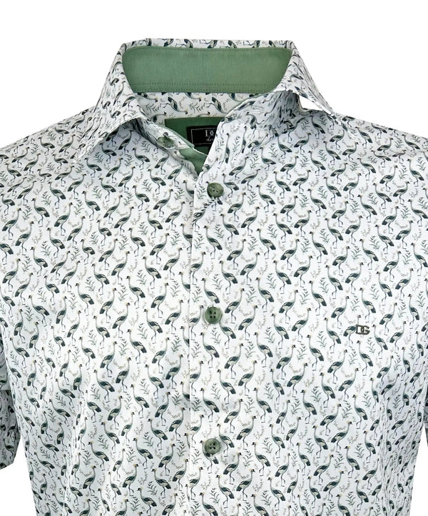 DG’s Drifter Short Sleeve Shirt Light Green Northern Ireland Belfast