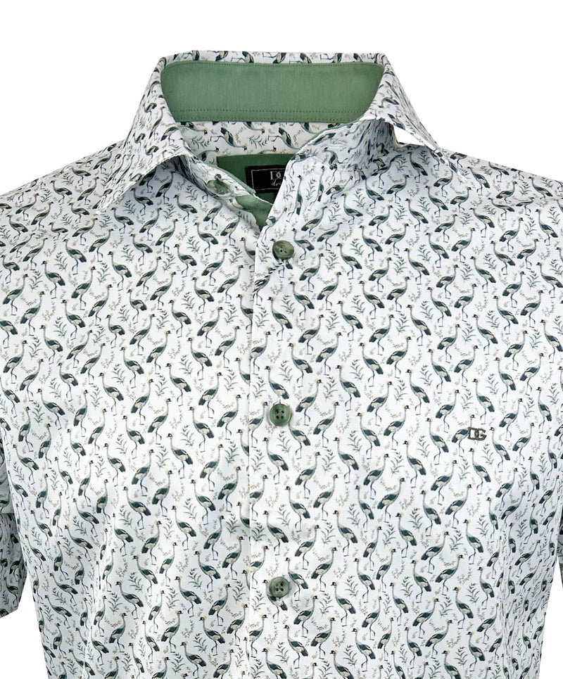 DG’s Drifter Short Sleeve Shirt Light Green Northern Ireland Belfast