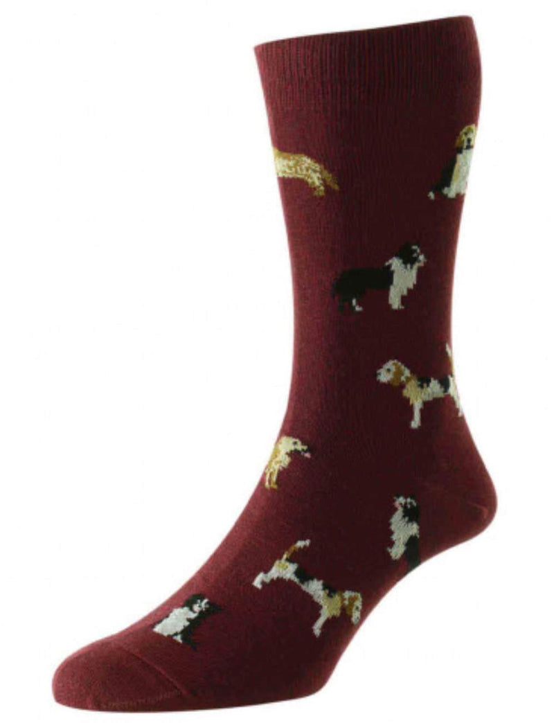 HJ Hall Country Dogs Motif Socks HJ67 Burgundy Northern Ireland