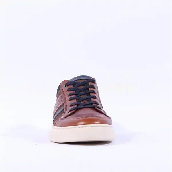 Lloyd & Pryce Tommy Bowe Mens Sneakers Garbisi Umber Tan Northern