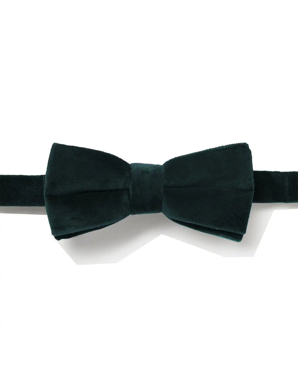 Remus Uomo Velvet Bow Tie Champagne Dark Green Northern Ireland