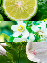 Yodeyma No.126 Inspired By Dior Homme Cologne Northern Ireland Belfast