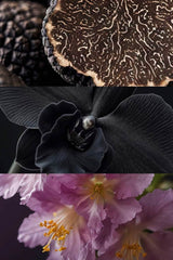 Yodeyma Oude No.30 Inspired By Tom Ford Black Orchid Northern Ireland